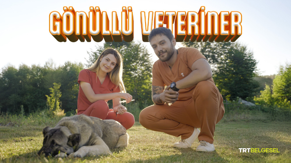GÖNÜLLÜ VETERİNER