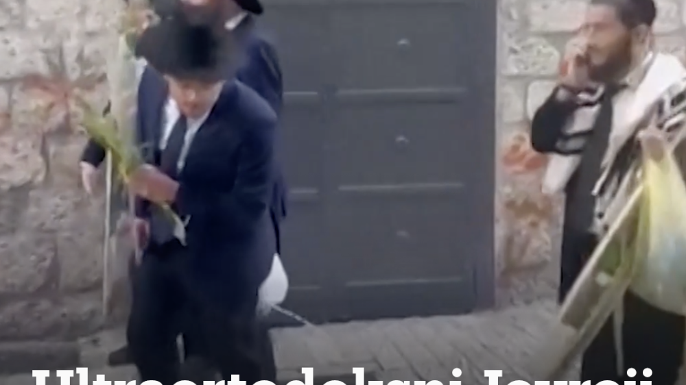 WEBSİTE VİDEOLARI