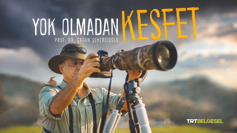 YOK OLMADAN KEŞFET
