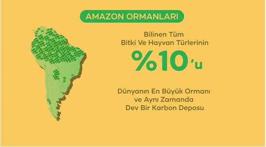 DOĞANIN SÖYLEDİKLERİ
